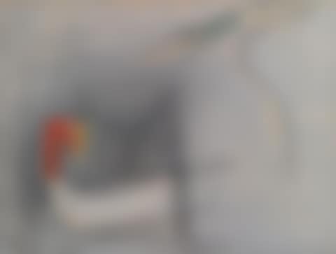 PERSONNAGE ET OISEAUX (preview)