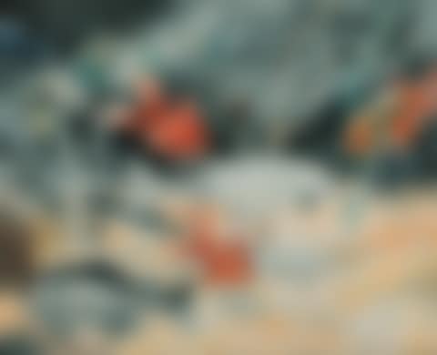 THE GOLDFISH (preview)