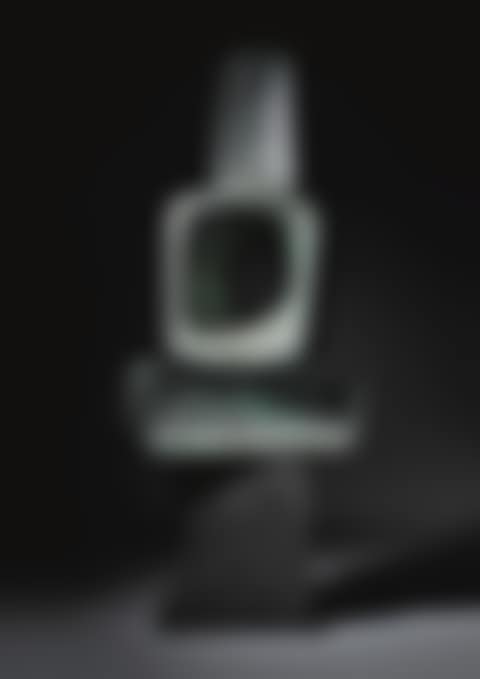 PARENT I (preview)