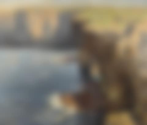 ALONG THE CLIFFS, ORKNEY (preview)