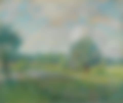 LE SAULE (preview)