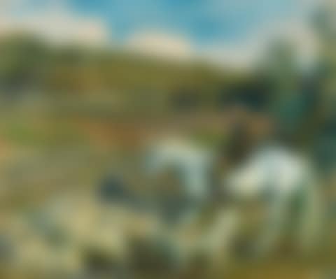 AN EXMOOR FARMER (preview)