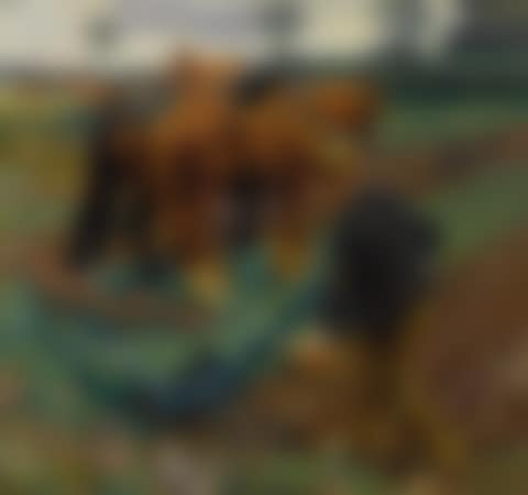 THE PLOUGH IN EARLY SPRING (preview)