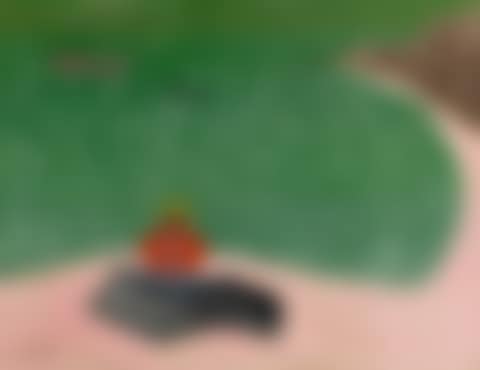 RAYMOND'S BEACH (preview)
