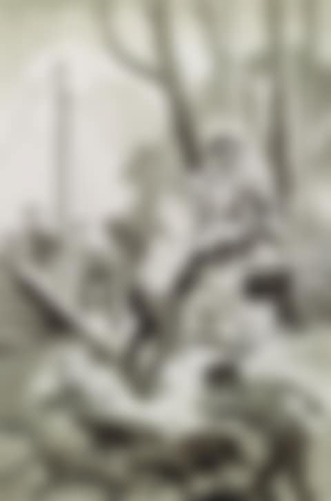 THE BOYS YELLED AND THE DOGS BARKED AND THE HOGS SQUEALED AND TRUMPETED AS THEY CHARGED DESPERATELY:" AN ILLUSTRATION FROM THREE RIVERS SOUTH: THE STORY OF YOUNG ABE LINCOLN (preview)