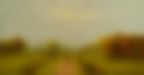 CARRIAGE ON A COUNTRY ROAD (preview)