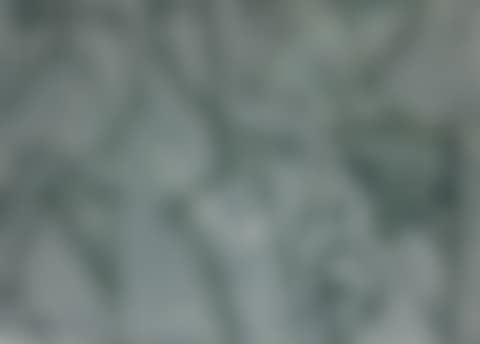 GREEN PAINTING (preview)