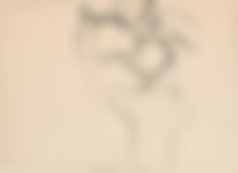 UNTITLED (preview)
