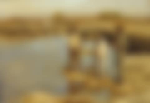 Figures fishing from the shore (preview)