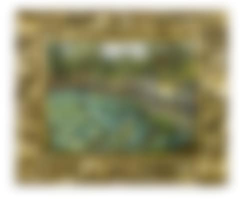 Lotus Pond, Shiba, Tokyo (preview)