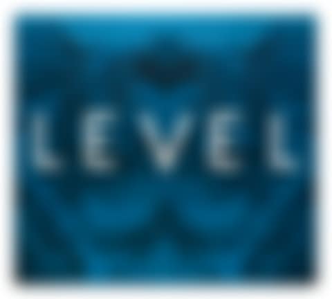 MIRROR-IMAGE LEVEL (preview)
