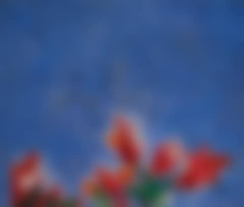 BLUE AND RED (preview)