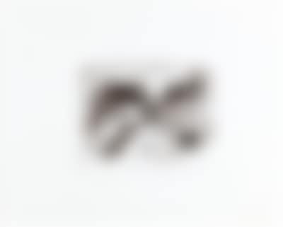 Ecriture (preview)