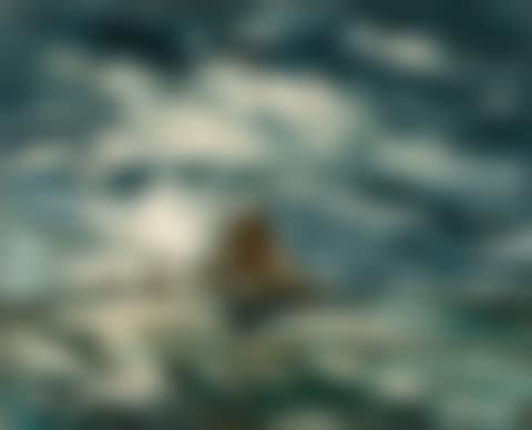 MARINE AUX VOILIERS (preview)
