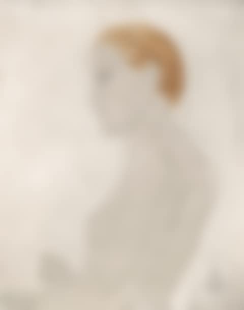 PROFIL DE YOUKI (preview)