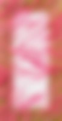 Rosa (preview)