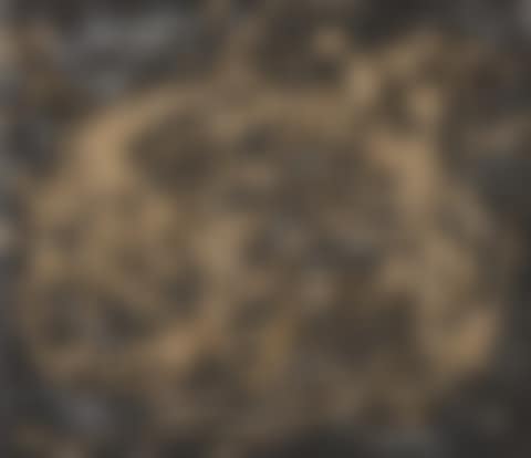 MÉTAMORPHOSE SOUTERRAINE (preview)