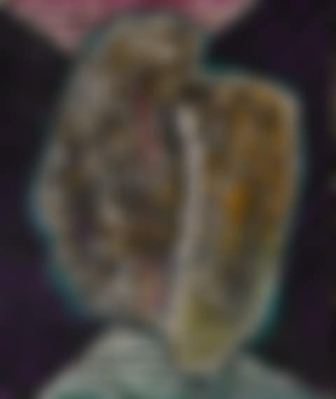 OISEAU (LE PIGEON) (preview)