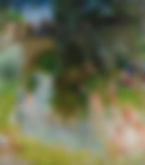 LA BAIGNADE (preview)