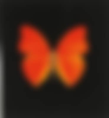 Memento - Orange big Butterfly (preview)