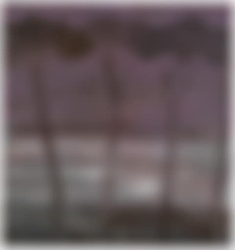 2 Ufer (preview)