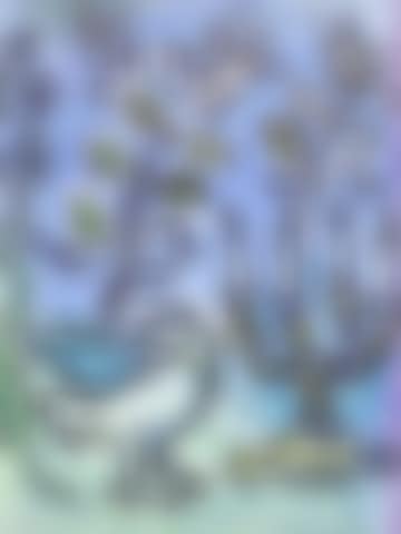 Jerusalem Windows (preview)