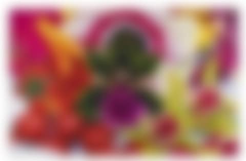 BAYAN SPRING (preview)