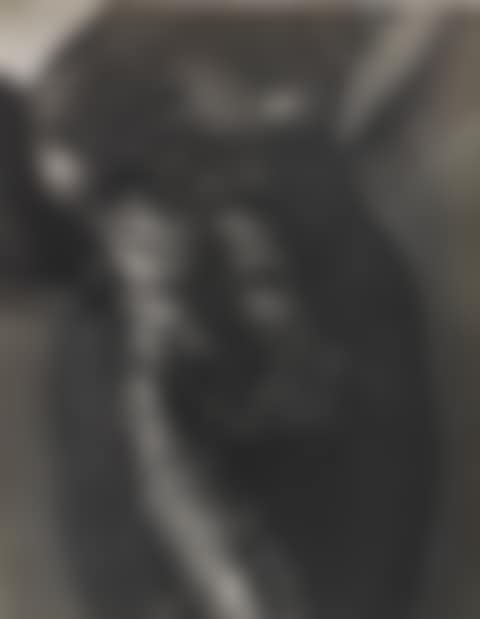 TORSO (LAMA [ SIC ] SHEATH)' (preview)