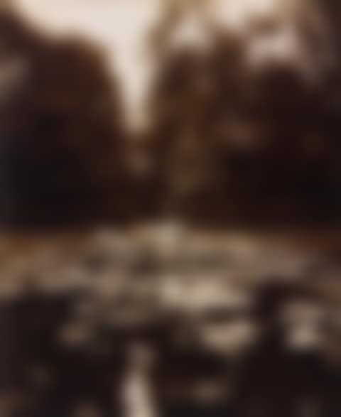 VERSAILLES. BASSIN DE L'ENCELADE' (preview)