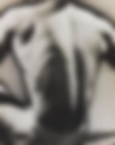 SOLARIZED MALE TORSO (preview)