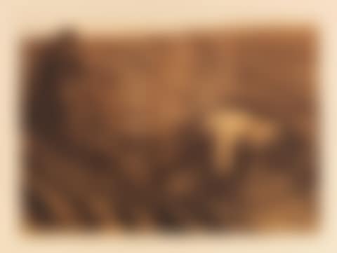 Pflugzieher und Weib (preview)