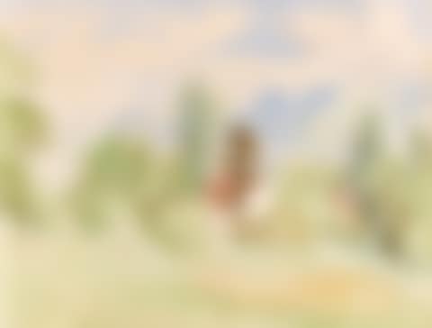 Landschaft am See (preview)