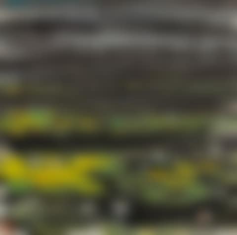 LOTUS POND (preview)