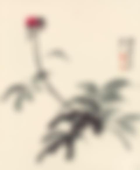 BUDDING BLOSSOM (preview)