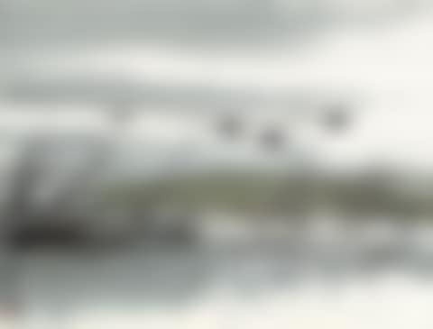 FLYING GEESE BY THE REEDS (preview)