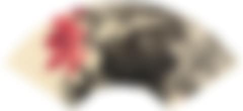 LOTUS (preview)