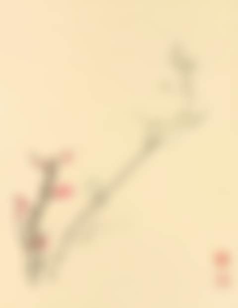 PLUM BLOSSOMS (preview)