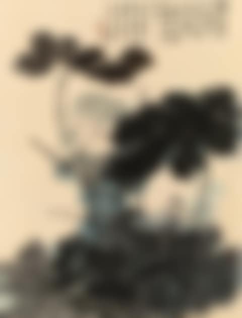 LOTUS POND (preview)