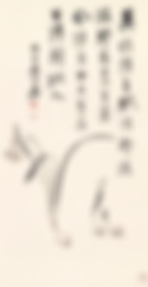 NARCISSUS (preview)
