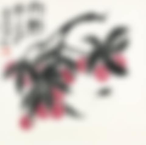 LYCHEE AND INSECT (preview)