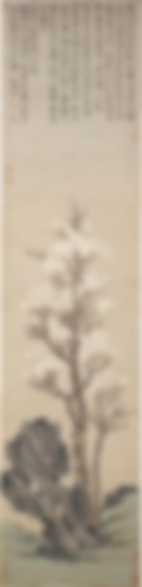 MAGNOLIA (preview)