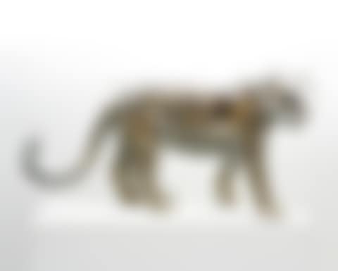 PIXCELL-MODEL-LEOPARD (preview)