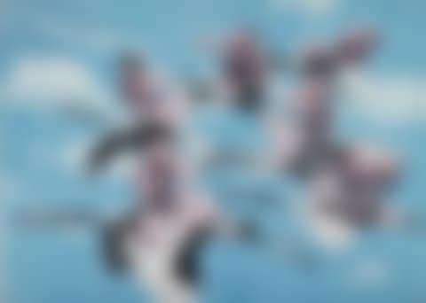 IMMORTAL CRANES (preview)
