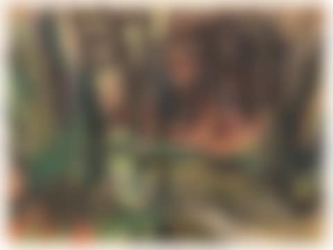 Waldesinnere (preview)