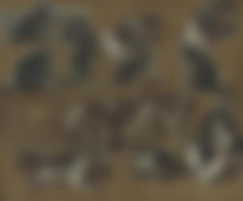 A study of cats, monkeys and dogs (preview)