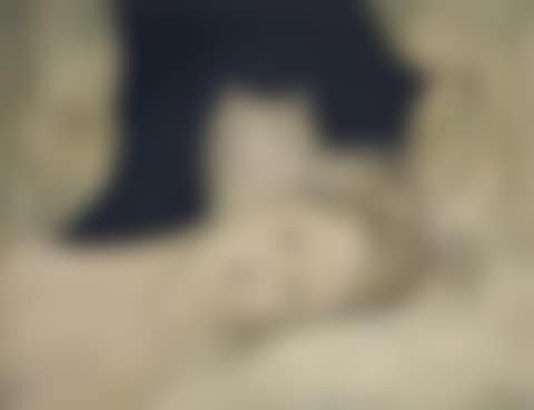 Buste de femme allongée au chat (preview)