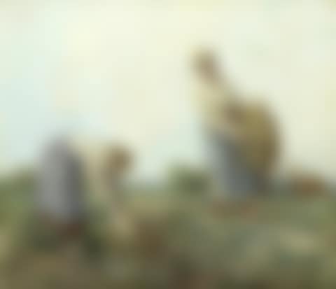 Gathering Turnips (preview)