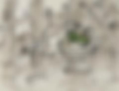 Nature morte aux pommes vertes (preview)