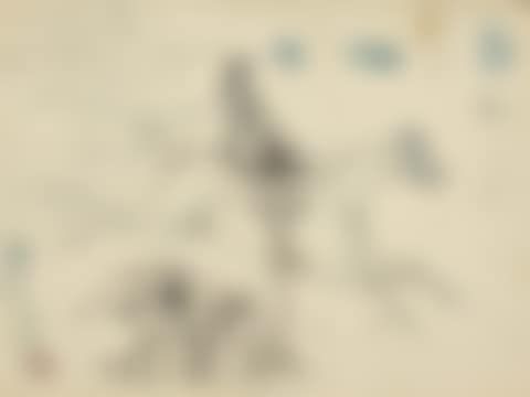 L'amazone (recto); Cheval (verso) (preview)