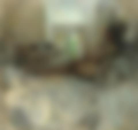 Nude looking through the curtains, Venice (preview)